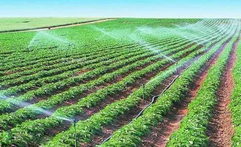 欧美插大逼农田高 效节水灌溉
